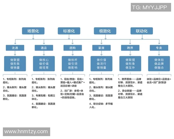 武汉攀岩队快攻打法解析及其在比赛中的应用与优势分析
